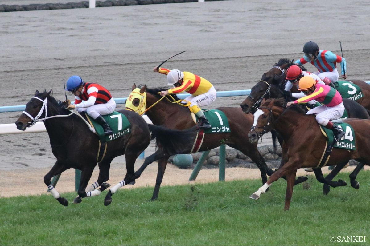 2016年京都金杯を制した時のウインプリメーラ