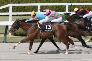 【カペラS 能力分析】元トラックマンが有力馬を10段階評価！気になるヤマニンチェルキなどの評価は？