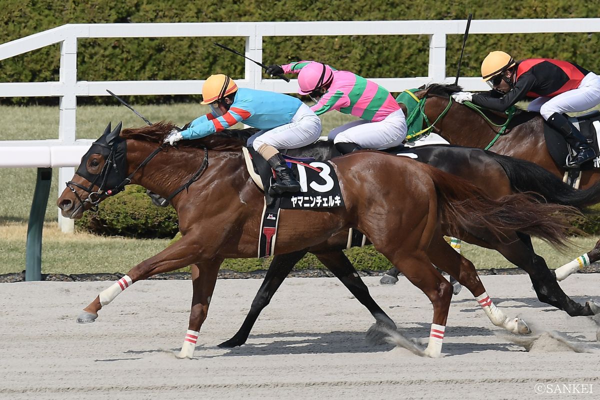 2025年バイオレットSを制した時のヤマニンチェルキ