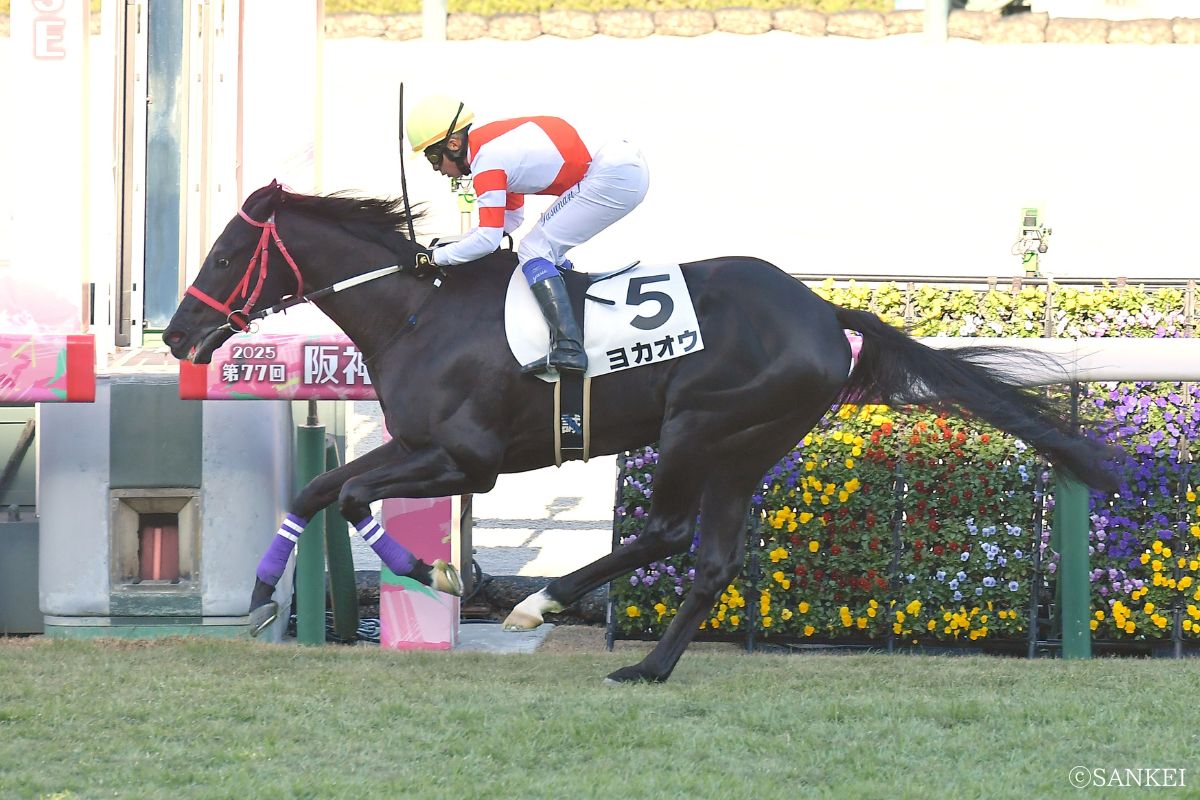 2025年12月13日阪神未勝利/1着ヨカオウ