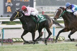 大人もお年玉がほしい！金杯3連単高配当ランキング【第2位】ヒントはファイナルSにあった？連対馬が激走