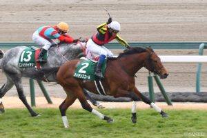 大人もお年玉がほしい！金杯3連単高配当ランキング【第1位】これぞ金杯の夢！初日からケタ違いの万馬券