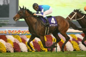 高齢馬G1勝利ランキング【第1位】9歳目前で？突如覚醒した善戦マン
