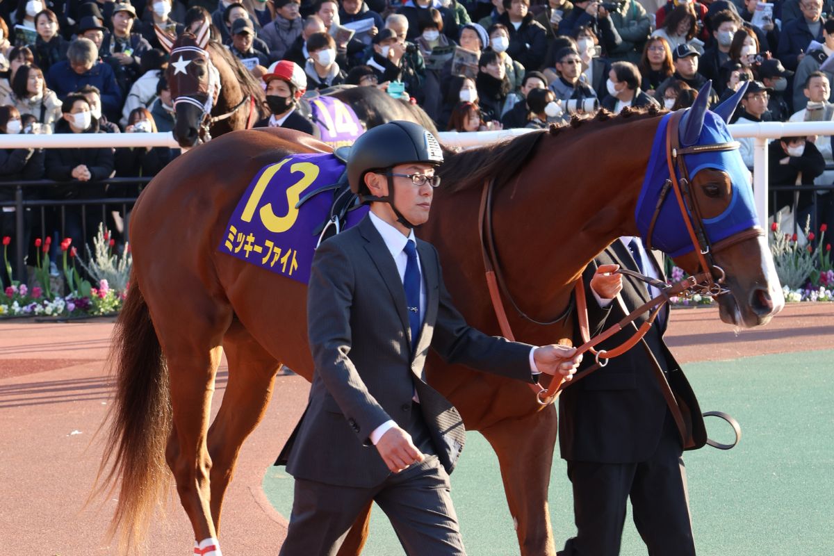 パドック・ミッキーファイト