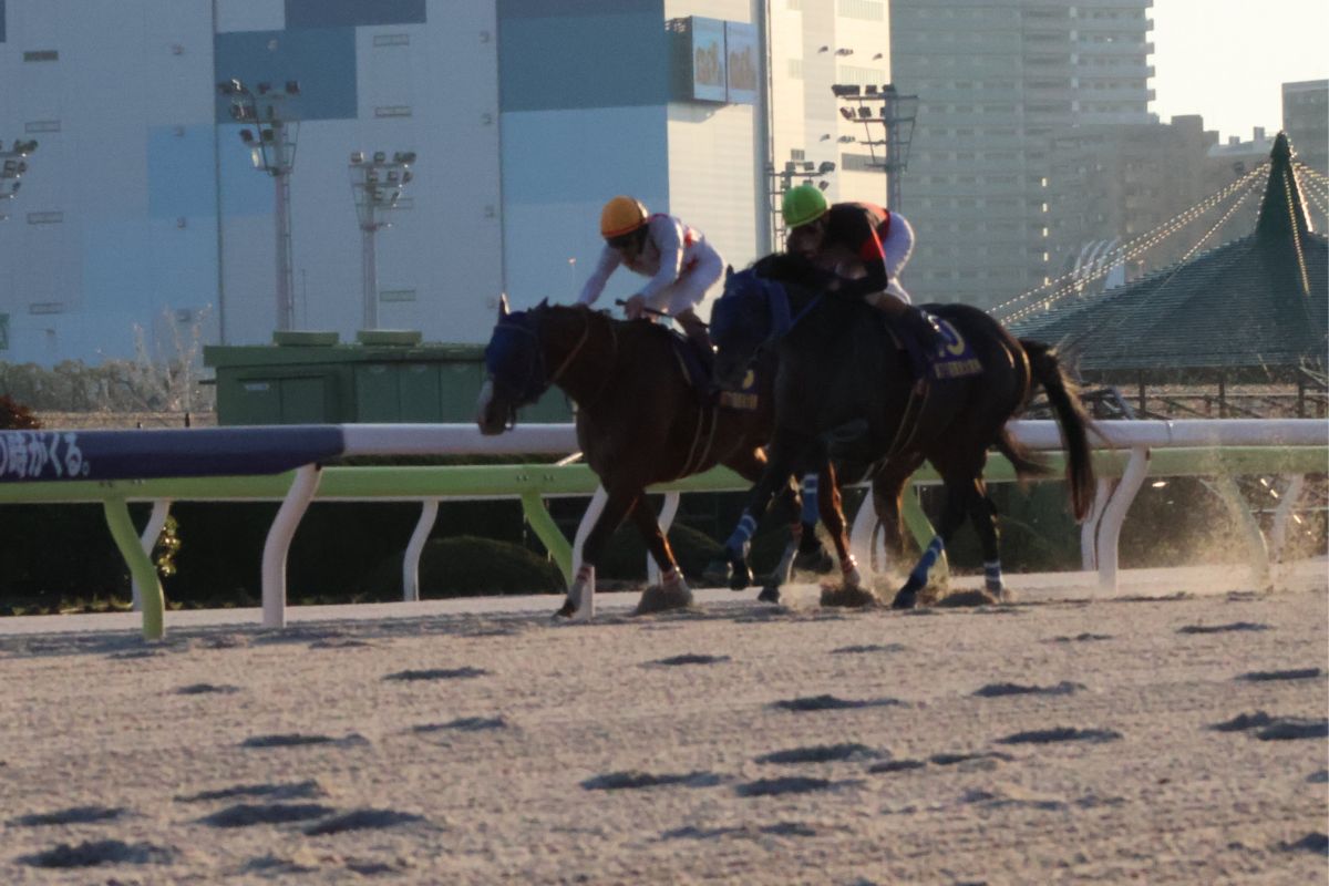 2025年東京大賞典ゴール前・ミッキーファイト（左）とディクテオン（右）