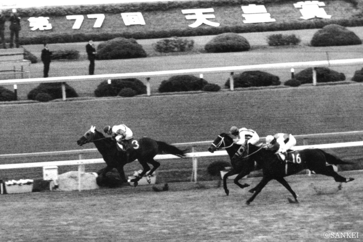 1978年天皇賞（春）を制した時のグリーングラス