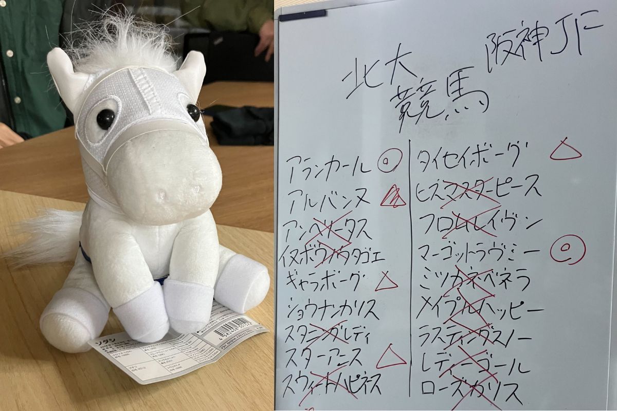 北海道大学/阪神JF予想