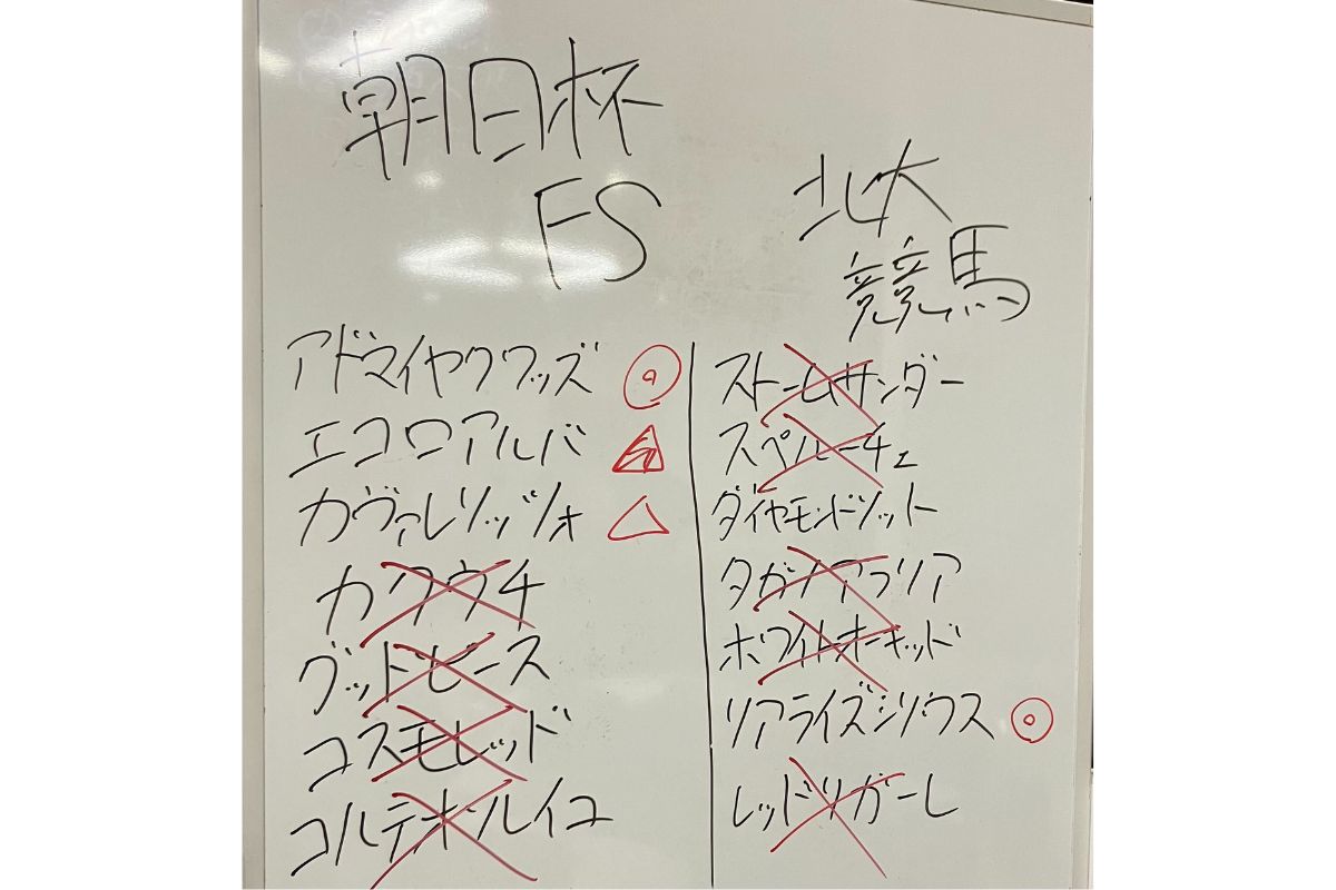 北海大学競馬同好会/朝日杯の予想