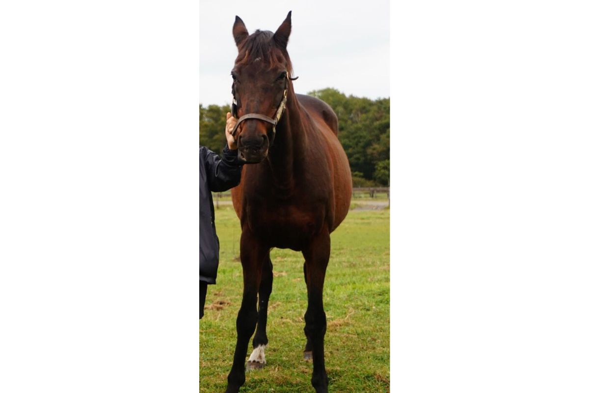 放牧地で代表と一緒に写真に入るレガシーワールド