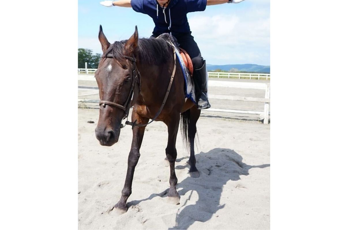 コパノリチャードに乗りデムーロの真似をする代表(ホロシリ乗馬クラブにて)