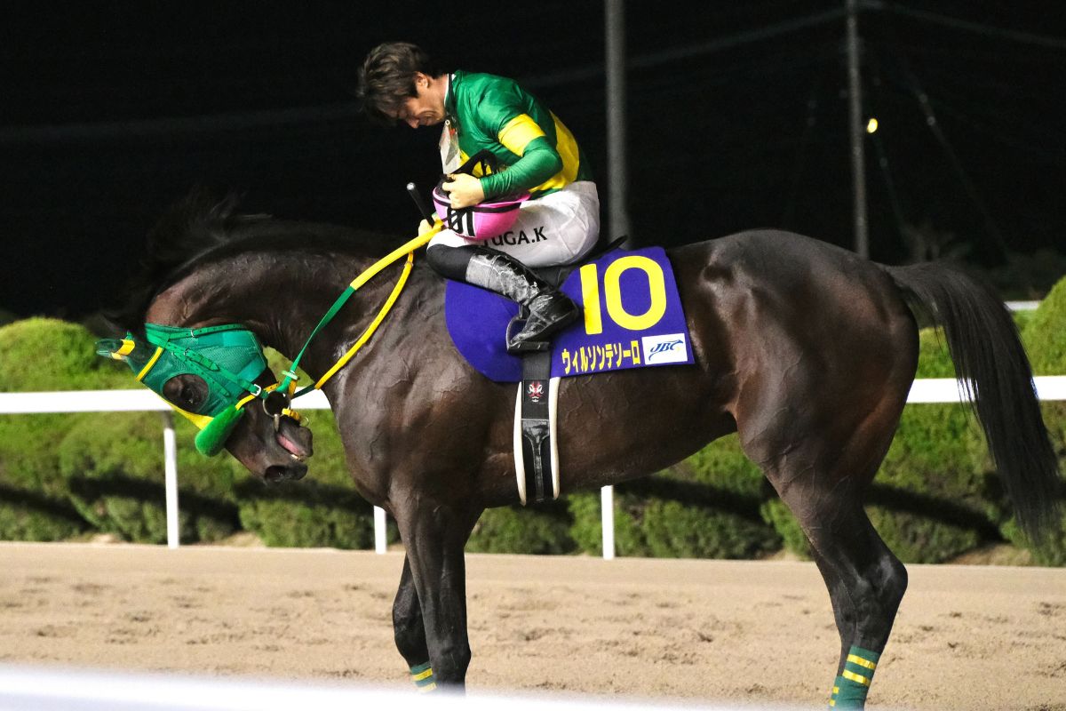 2024年JBCクラシックのレース後/川田将雅騎手とウィルソンテソーロ(撮影:九大競馬サークル代表)