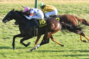 【鳴尾記念 能力分析】元トラックマンが有力馬を10段階評価！気になるグランヴィノスの総合評価は？