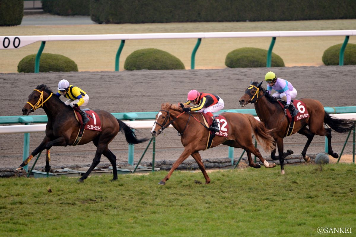 2012年阪神大賞典