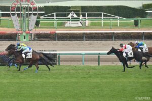 3億円超ホースはいまだに…2026年飛躍に期待の高額取引馬（4）まずは1勝へ…G1馬を姉に持つ超良血馬