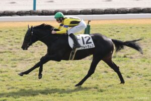 【WIN5研究所】1月12日（月）本線は21点勝負！シンザン記念は、勇気を持って一点突破へ…