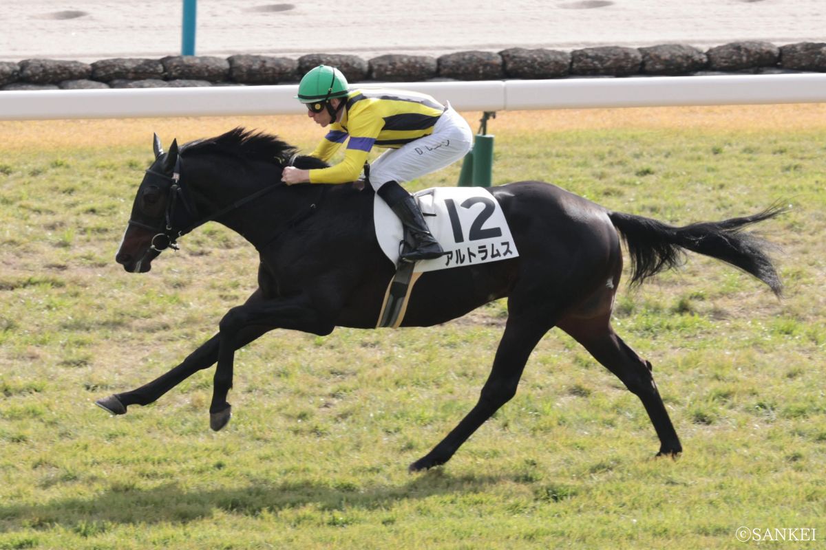 2025年11月22日2歳新馬(京都)/1着アルトラムス