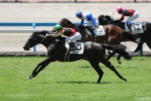 【東大流・次世代スター発掘③牡馬クラシック編】（3）まずは共同通信杯で賞金加算を…