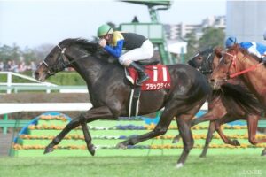 2025年リーディングサイアー急上昇ランキング【第4位】まさかの父子でランクイン！まだまだ現役の“お兄ちゃん”