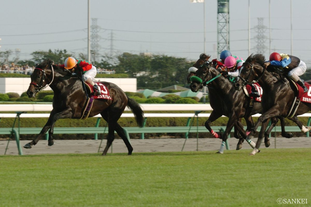 2004年セントライト記念を制した時のコスモバルク