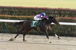 GⅢ 根岸ステークスのデータ分析【過去の結果 – 1984年以降 ｜ 重賞データ 】