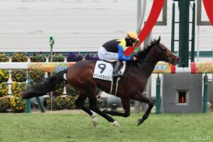 3億円超ホースはいまだに…2026年飛躍に期待の高額取引馬（3）金子オーナーも期待！ディープインパクトとの共通点とは？