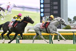 なぜG1に届かなかった？G2だけ勝った名馬（5）現役馬から選出！充実期を迎えた芦毛馬は悲願達成なるか…