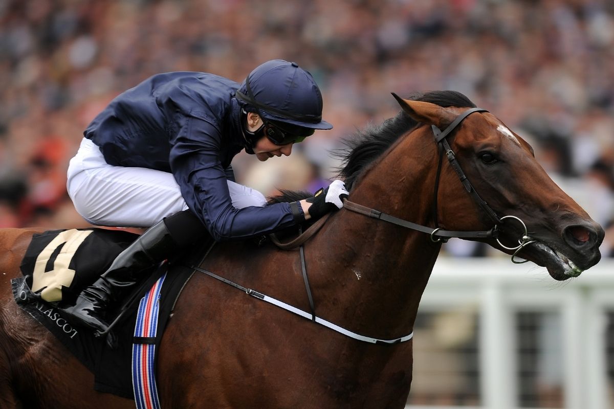 2013年クイーンアンS(英)を制した時のデクラレーションオブウォー(Photo by Charlie Crowhurst/Getty Images for Ascot Racecourse)