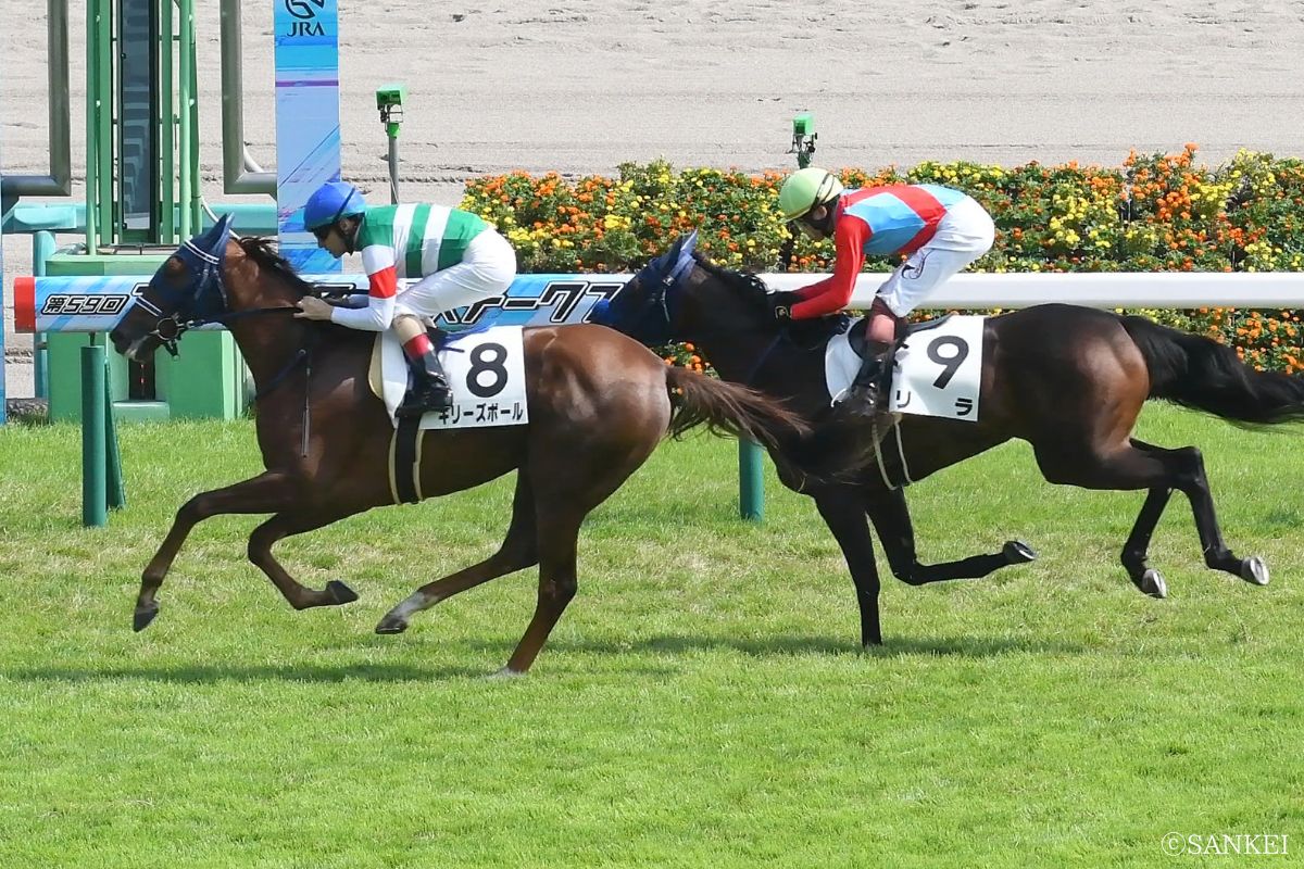 2025年9月27日2歳新馬（中山）1着ギリーズボール