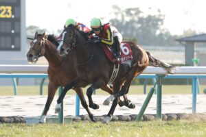 【日経新春杯・勝利の本質】1番人気ゲルチュタールは、なぜ勝てたのか？気になる3頭を10点満点で採点