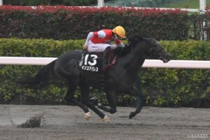 【WIN5研究所】根岸Sの本線は2点勝負！インユアパレスを推す理由とは？「着差以上にかなり強い内容」