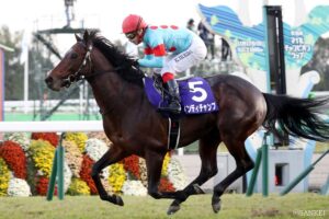 代打の神様が舞い降りた！テン乗りG1制覇（4）初騎乗で馬のクセを理解！これぞ仕事人たるゆえん