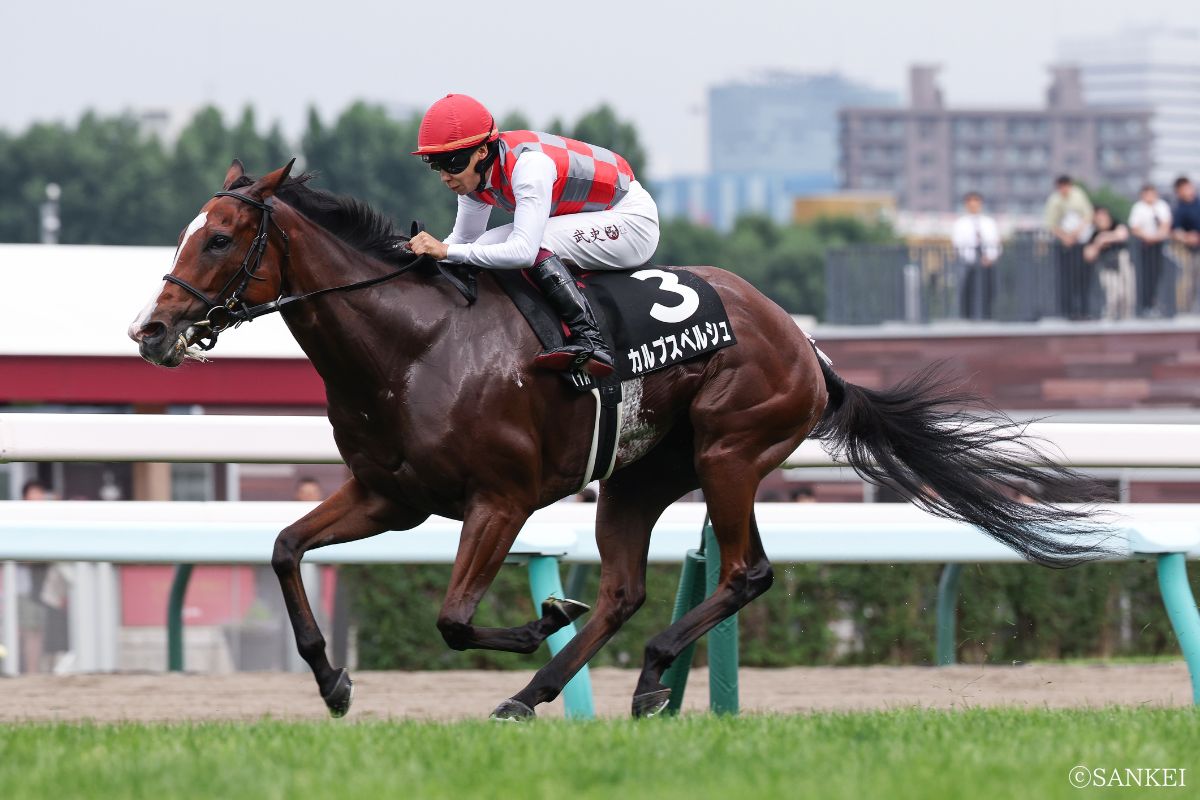 2025年TVh賞を制した時のカルプスペルシュ