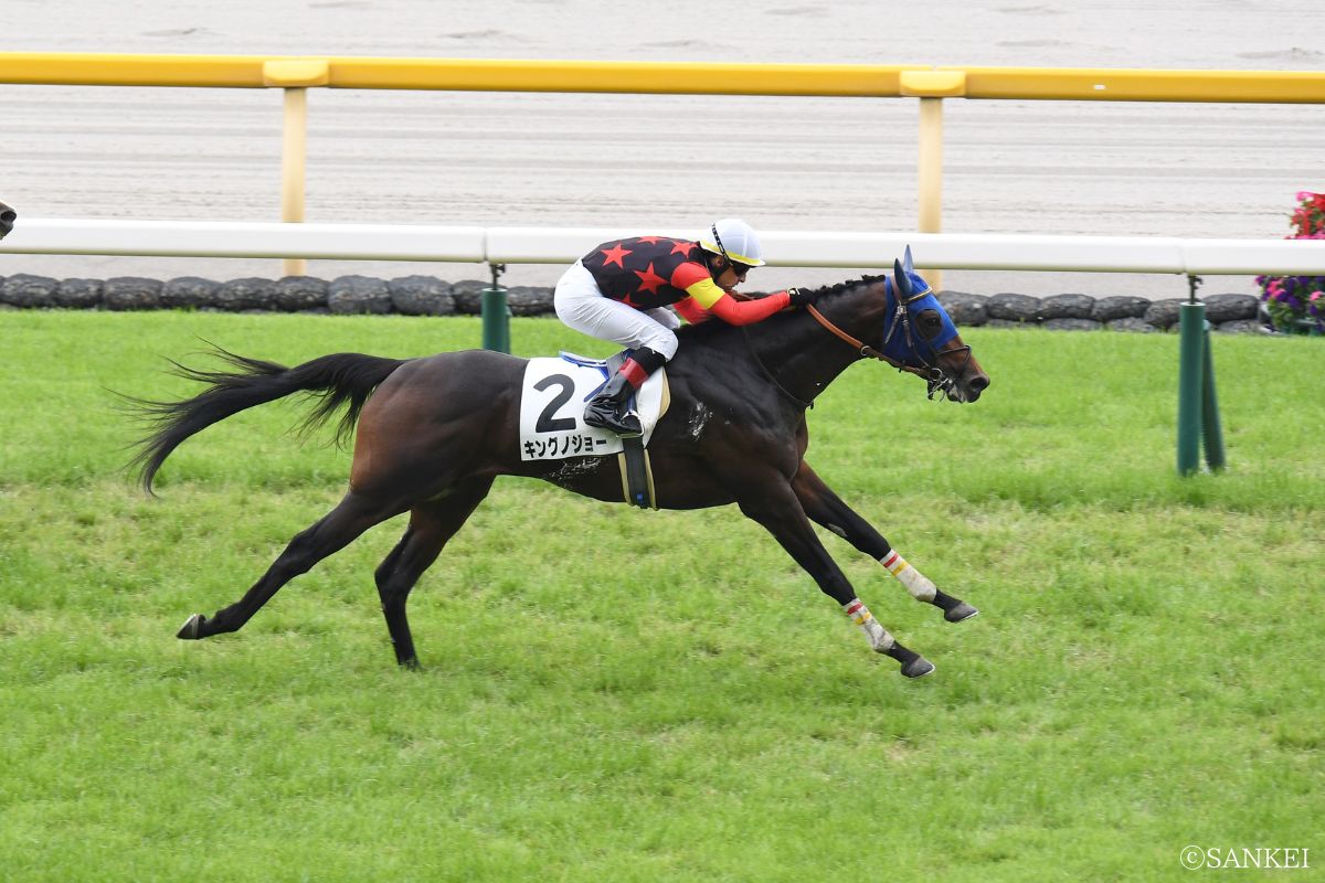 2025年6月8日1勝クラス(東京)を制したキングノジョー