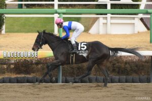 【平安S・前走レビュー】有力5頭を採点！昨年の2着馬ロードクロンヌはどう評価するべき？