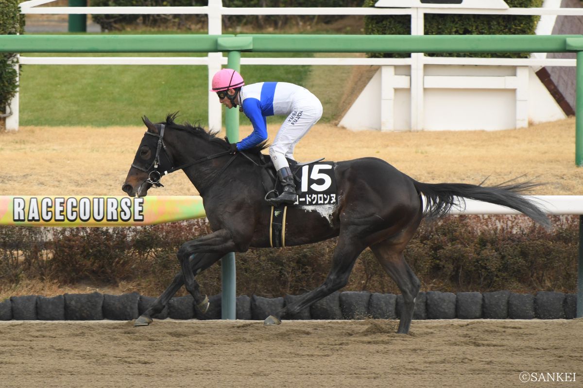 2025年上総Sを制したロードクロンヌ