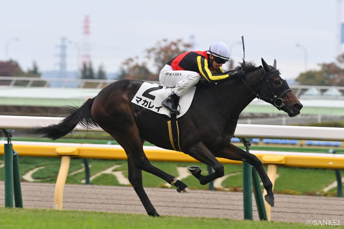 2025年11月9日未勝利戦(東京)/1着マカレイ