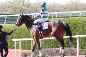 欠点か才能か…？気性難が魅力の名馬（5）折り合いは無視…？アイドルホースの頂点に登り詰めたおてんば娘