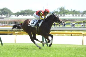 【シンザン記念 調教全頭診断】S評価1頭、A評価5頭！注目が集まるアルトラムス、モノポリオの状態は？