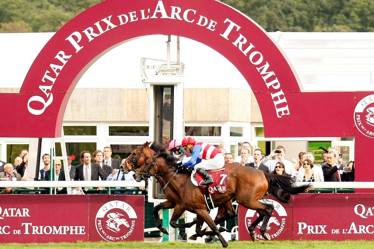 2010年凱旋門賞2着ナカヤマフェスタ(Photo : Amandine Noel / Icon Sport via Getty Images)