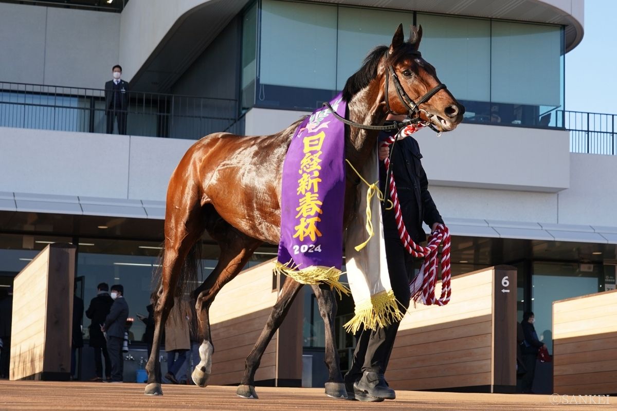 2024年日経新春杯を制したときのブローザホーン