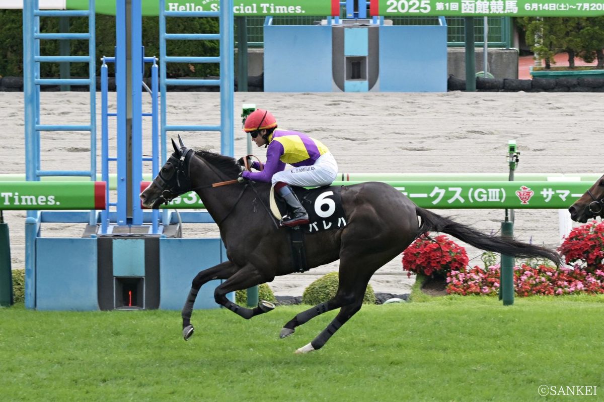 2025年松前特別を制した時のパレハ