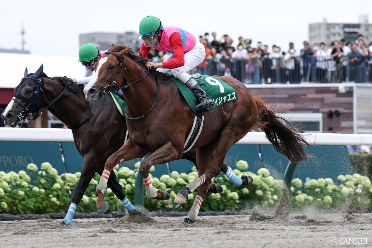 2024年エルムSを制した時のペイシャエス