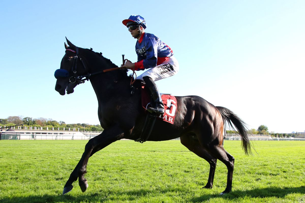 2024年ダニエルウィルデンシュタイン賞でPenaltyに騎乗したハマーハンセン騎手(Photo by Pierre Costabadie/Icon Sport via Getty Images)