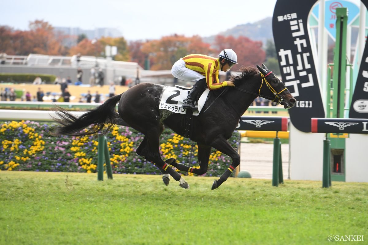 2025年11月23日未勝利戦(東京)1着ピエドゥラパン