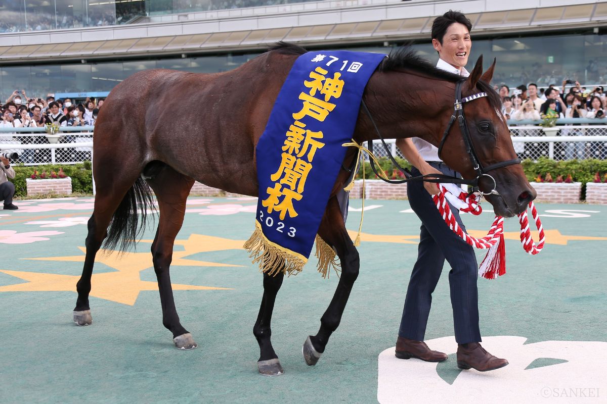 2023年神戸新聞杯を制したサトノグランツ