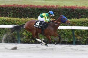 【東大流・次世代スター発掘①ダート路線】ダート三冠の主役は？2026年春の活躍が予想される3歳馬5選