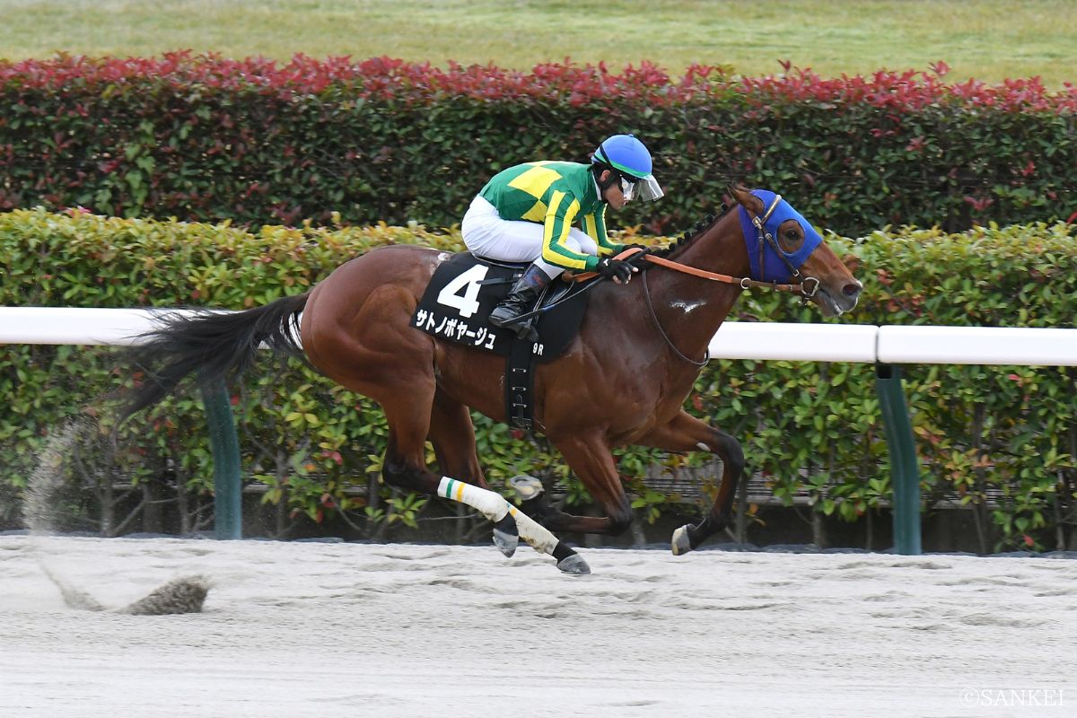 2015年カトレアSを制した時のサトノボヤージュ
