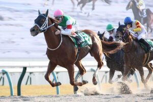 【プロキオンS 能力分析】元トラックマンが有力馬を10段階評価！最も総合点が高いのは…？