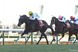 【AJCC・勝利の本質】3番人気ショウヘイは、なぜ勝てたのか？気になる3頭を10点満点で採点