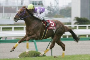 なぜG1に届かなかった？G2だけ勝った名馬（2）G1は緊張しちゃう？屈腱炎とも戦った名馬